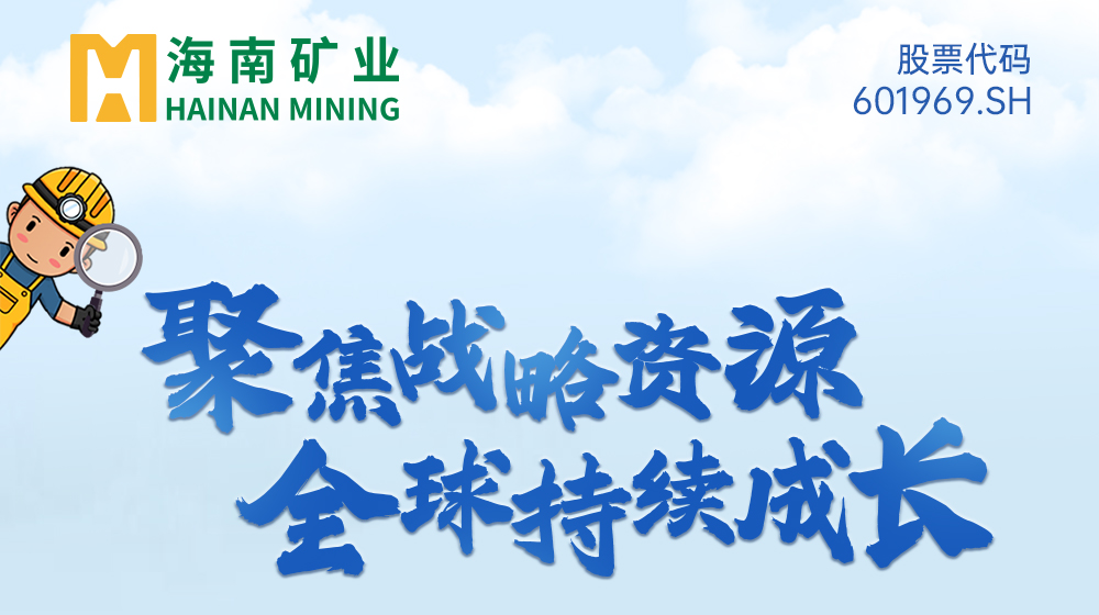 一图看懂海南矿业2024年度业绩